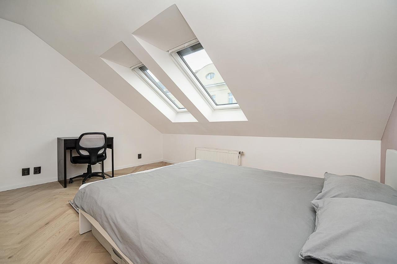 Big 4-Bedroom Flat, Terrace With Great Vitkov View プラハ エクステリア 写真